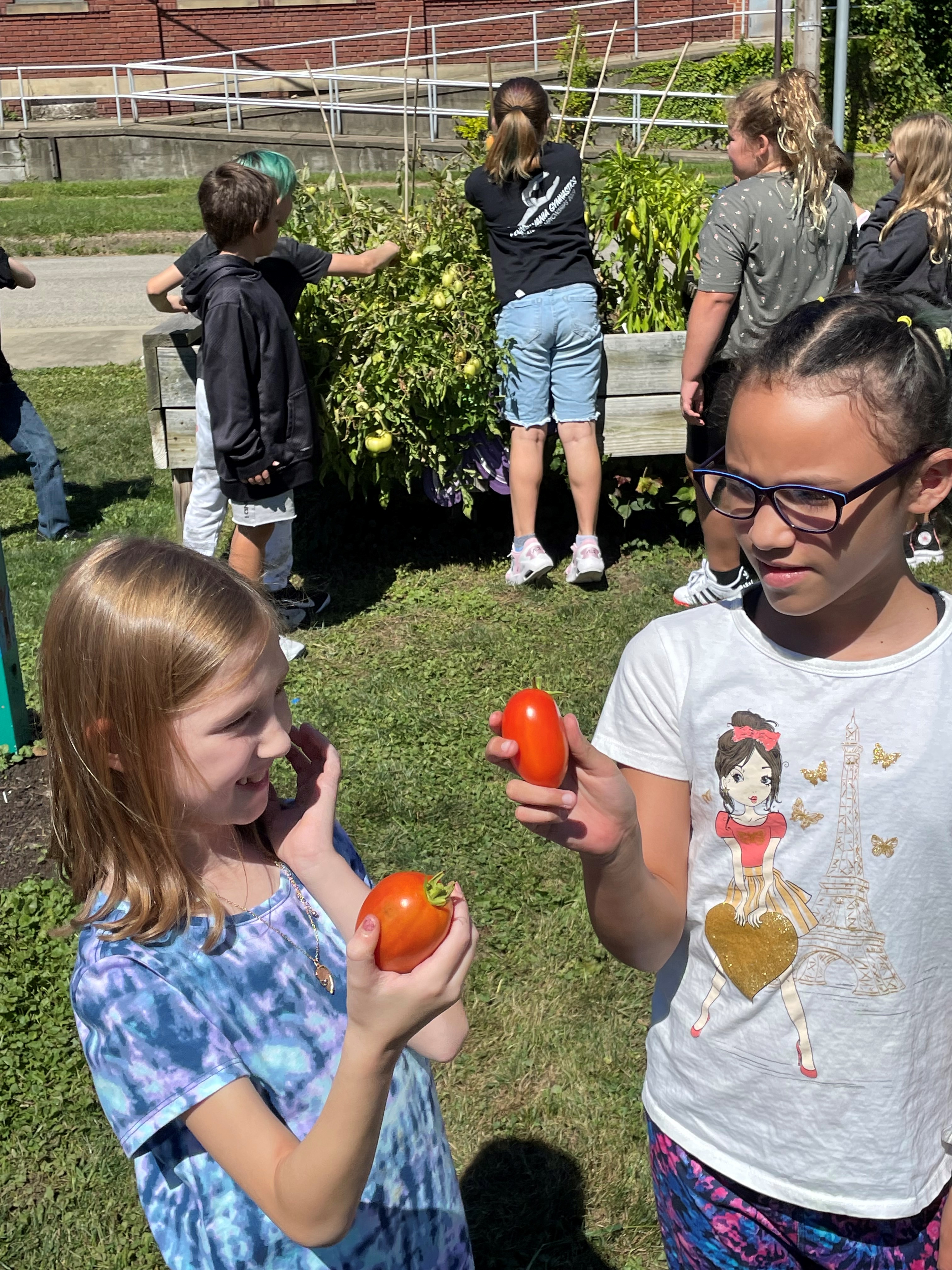 Kids eating tomatoes